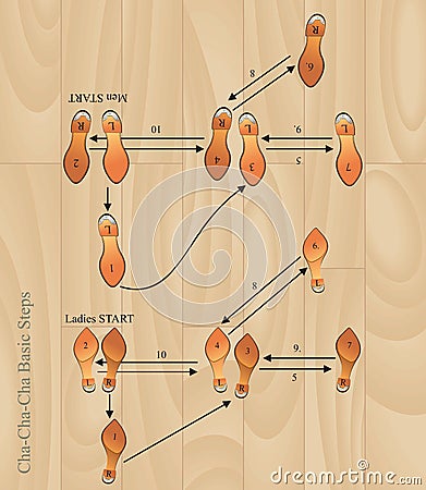 Cha-cha basic steps Vector Illustration