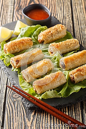Cha gio or nem ran or fried spring roll, is a popular dish in Vietnamese cuisine closeup on the plate. Vertical Stock Photo