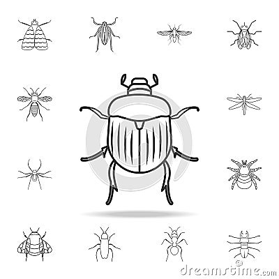 Chafer icon. Detailed set of insects line illustrations. Premium quality graphic design icon. One of the collection icons for webs Cartoon Illustration