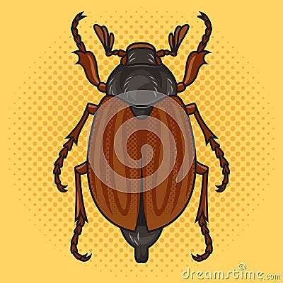 Chafer may bug Melolontha pop art vector Vector Illustration