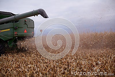 Chaff blowing out of a combine harvester Stock Photo