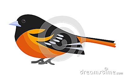 Chaffinch, Fringilla coelebs, male perched little forest bird Vector Illustration