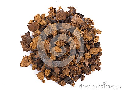 Chaga Mushroom Stock Photo