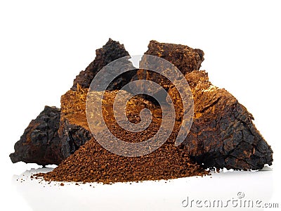 Chaga Mushroom - Healthy Nutrition Stock Photo