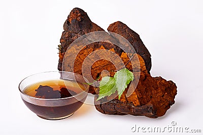 Chaga mushroom pieces, glass tea bowl decorated with green birch leaves isolated Stock Photo