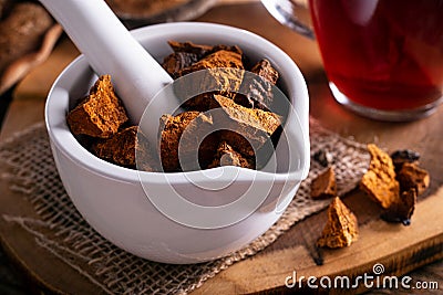 Chaga Mushrooms Stock Photo