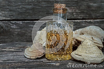 Shelf fungus. Bracket fungus tincture. Naturopathy. Stock Photo