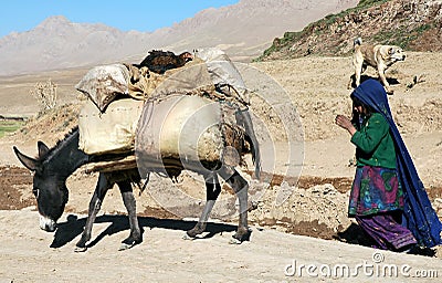 A girl with donkey near Chaghcharan, Ghor Province, Central Afghanistan Editorial Stock Photo