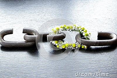 A chain is only as strong as its weakest link Stock Photo