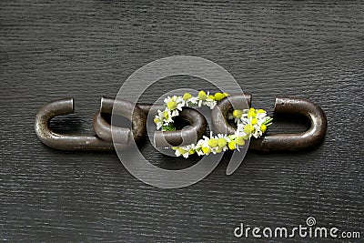 A chain is only as strong as its weakest link Stock Photo