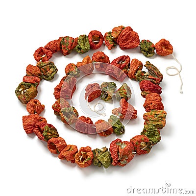 Chain of dried peppers, Biber Kurusu, isolated on white background Stock Photo