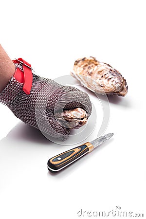 Chain Gloves specially for opening oysters Stock Photo