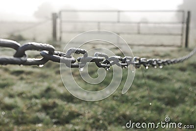 Chain Stock Photo