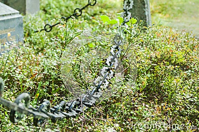 Chain at old beautiful semetery in Finland Stock Photo