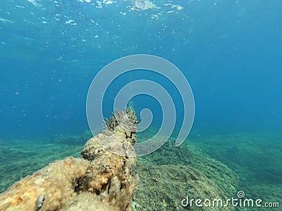 Chains from anchor lying long time in the sea Stock Photo