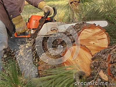 Chainsaw Action Stock Photo
