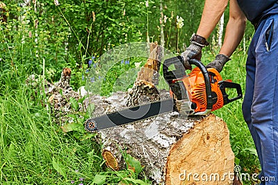 Chainsaw in action cutting wood. Man cutting wood with saw, dust and movements. Stock Photo
