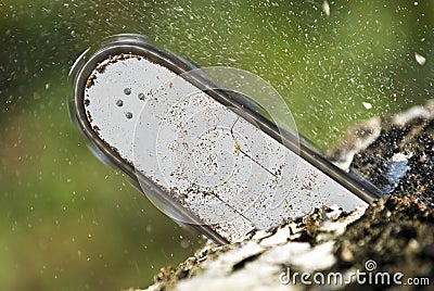 The chainsaw blade Stock Photo