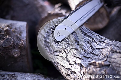 Chainsaw. Chainsaw tire chain. Cuts wood. Wood harvesting Stock Photo