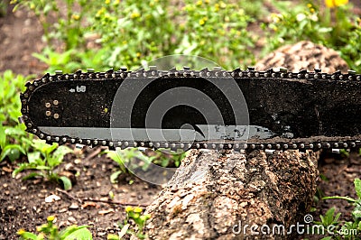 Chainsaw cuts a log lying on the ground. Chain rotates Stock Photo