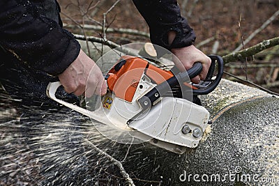 Chainsaw cutting wood Stock Photo