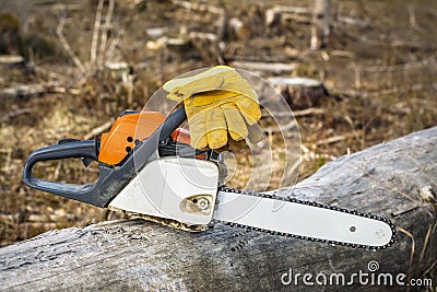 Chainsaw and gloves on tree in destroyed forest Stock Photo