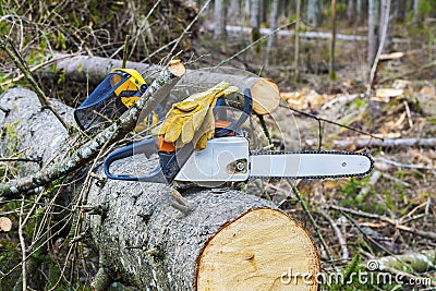 Chainsaw with gloves on tree in destroyed forest Stock Photo