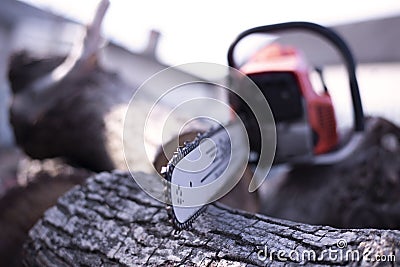 Chainsaw. Chainsaw tire chain. Cuts wood. Wood harvesting Stock Photo