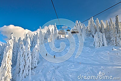 Chair lift in Poiana Brasov ski resort, Skiers and snowboarders enjoy the ski slopes in Poiana Brasov winter resort whit forest Editorial Stock Photo