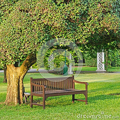 Chair under the tree Stock Photo