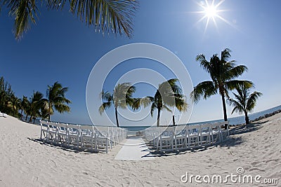 Chairs under palm tree Stock Photo