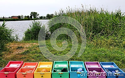 Chakra Box for Chakra Stones 7 Colours on a Stone in Nature Plants Spiritual all CHAKRA chakras Stock Photo