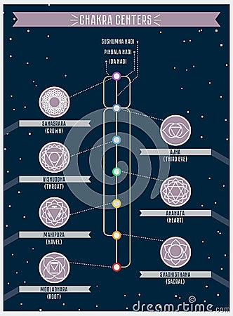 Chakra centers and nadi cannals icons Vector Illustration