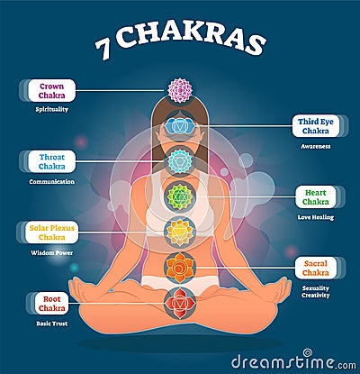 7 Chakra meanings and symbols, vector illustration diagram with woman in lotus pose. Vector Illustration