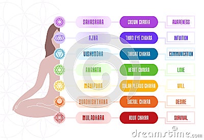 7 chakras chart with meanings and body silhouette. Vector illustration banner Vector Illustration