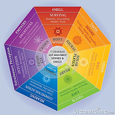 7 Chakras Color Chart with Mandalas, Senses and Goals Vector Illustration