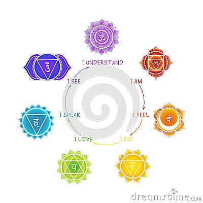 Chakras meaning poster with mandala symbols on white background. For design, associated with yoga Vector Illustration