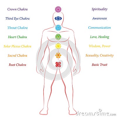 Chakras Meanings Man Standing Upright Frontal Vector Illustration