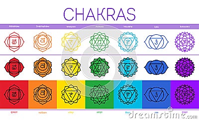 Chakras: muladhara, swadhisthana, manipura, anahata, vishuddha, ajna, sahasrara. Vector line symbol. Om sign. Sacral icon. Vector Illustration