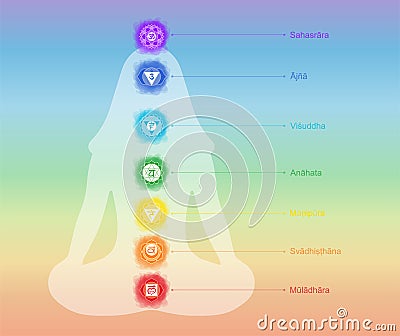 Chakras: muladhara, swadhisthana, manipura, anahata, vishuddha, ajna, sahasrara. Vector line symbol. Om sign. Silhouette of a Vector Illustration