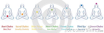 Chakras Woman Seven Colors Meanings Vector Illustration