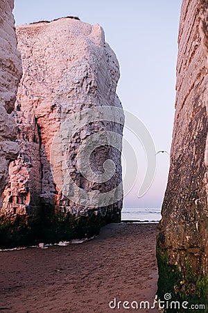 Chalk Cliffs at Botany Bay beach at Broadstairs on the Kent Coastline England UK At Sunset. Stock Photo