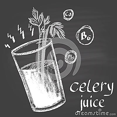 Chalk painted illustration of celery juice. Infographic. Vector Illustration