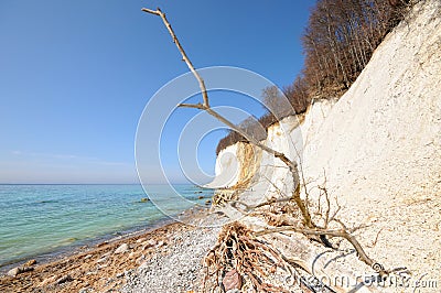 Chalk rock cliff of Rugen Island Germany in springtime. Stock Photo