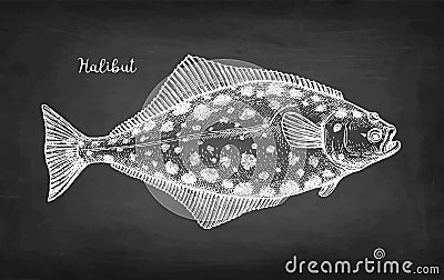 Chalk sketch of halibut. Vector Illustration