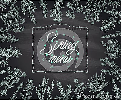 Chalk spring menu with herbal frame on a blackboard Cartoon Illustration