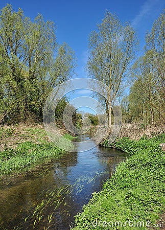 Chalk Stream in North Hertfordshire Stock Photo