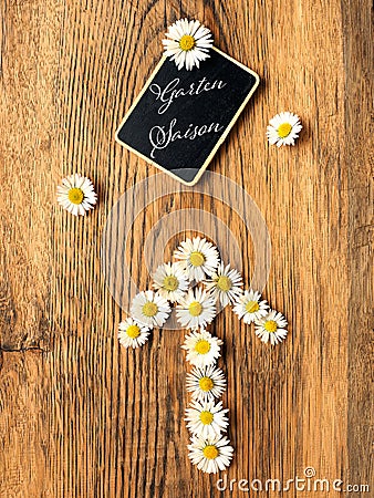 Chalkboard with beautiful daisies Stock Photo
