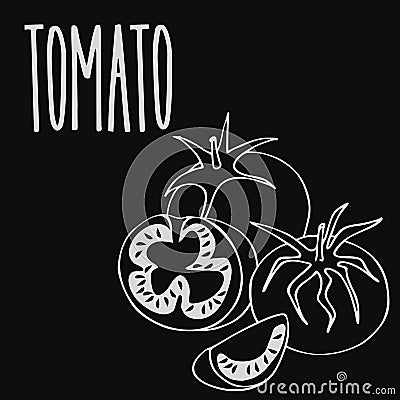 Chalkboard ripe tomato vegetable Vector Illustration