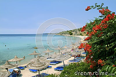 Chalkidiki beach with bughenvilla plant Stock Photo